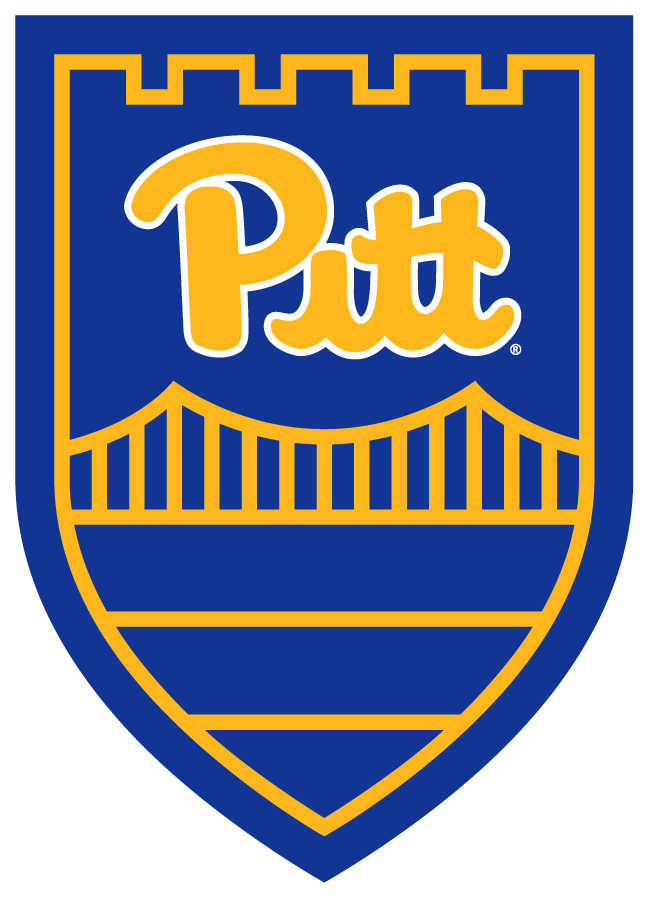Pittsburgh Panthers 2019-Pres Secondary Logo diy iron on heat transfer